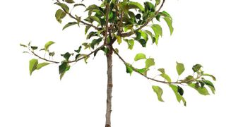 loic lagneau photographie